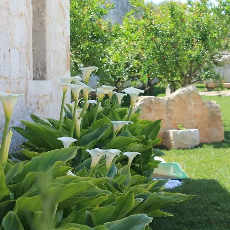 Casa Serena - Relax In Masseria A Holiday home